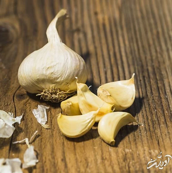 سیر 